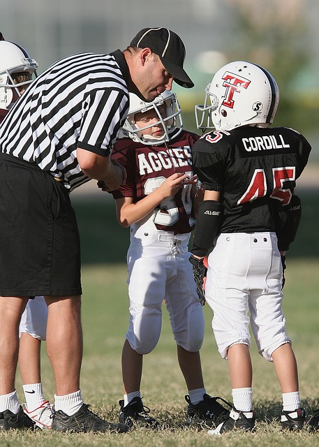 不仅体现了 不仅体现了