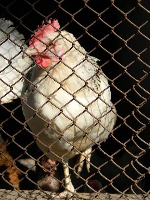 三名球員戴帽！英超歷史性一天！.