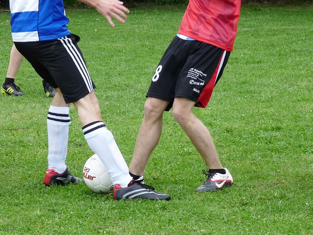 尤其是在内 尤其是在内